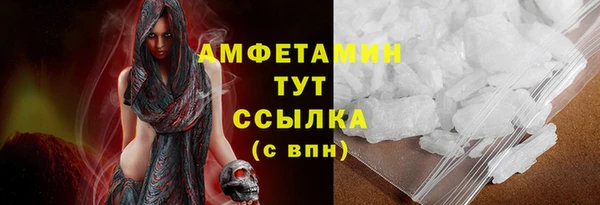 амф Бородино