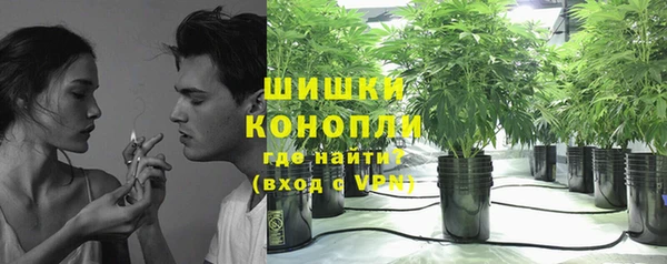 PSILOCYBIN Верхний Тагил