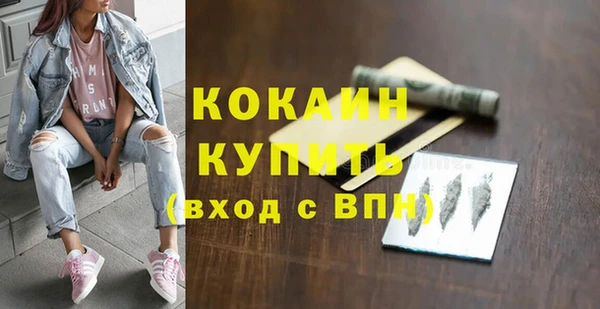 амф Бородино