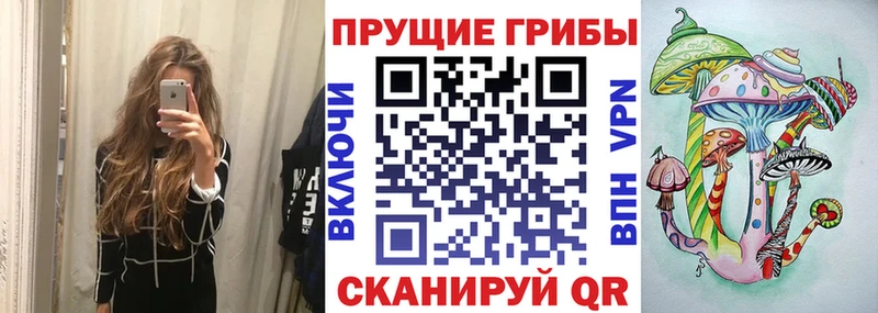 ссылка на мегу ТОР  Кондрово  Псилоцибиновые грибы GOLDEN TEACHER 
